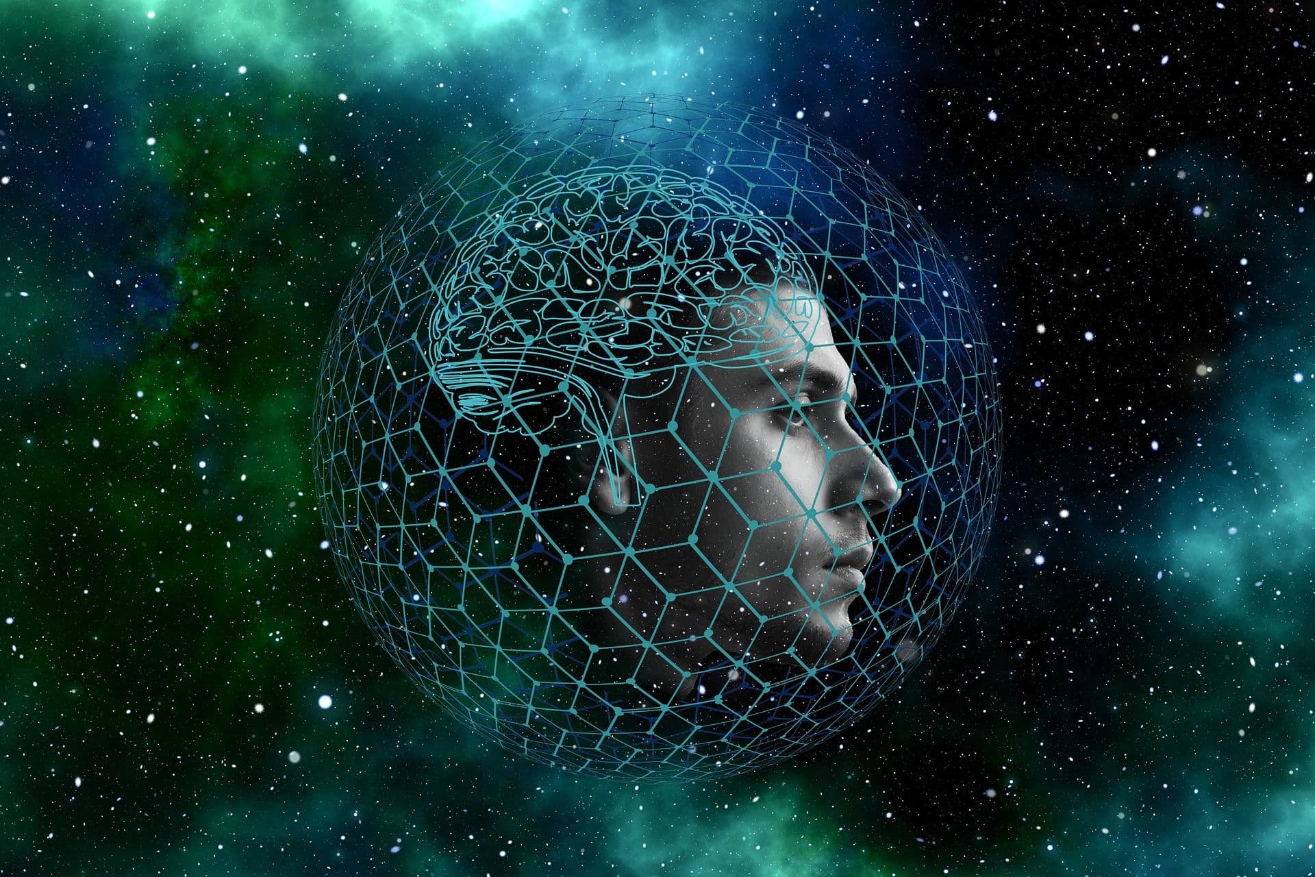 How to Level Up Your Leadership with Data Science Expertise: An Executive Program Primer